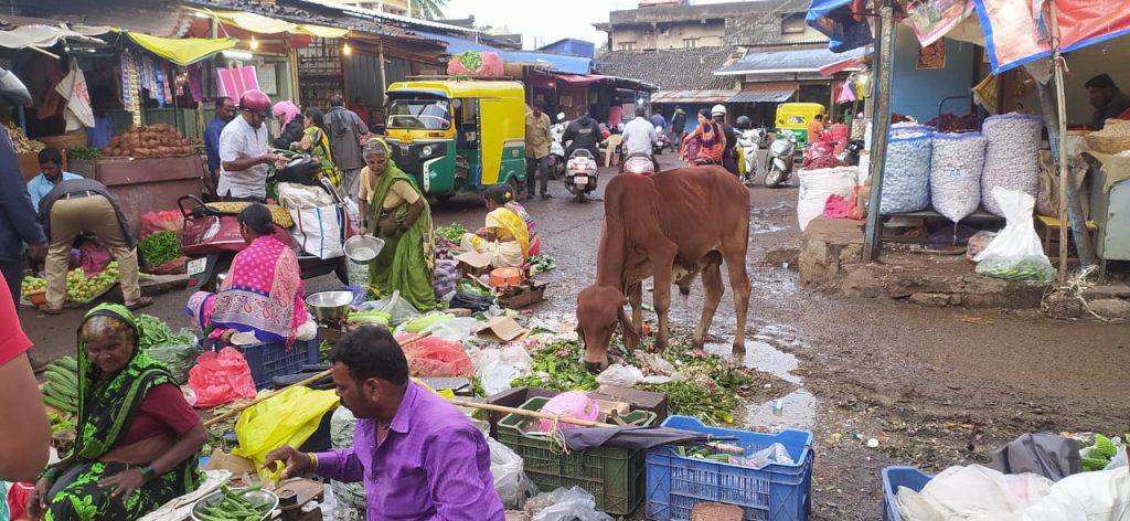 कुजलेल्या भाजीमुळे दुर्गंधी