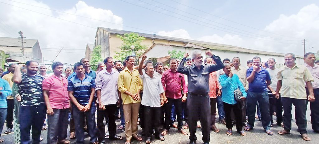 Forest Festival in Dharbandoda Government Primary School