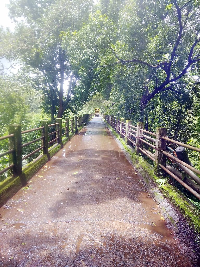 Foundation laying of new bridge in Saward within two months