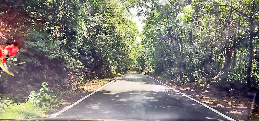 चोरला घाटात दरडी कोसळण्याची भीती Fear of landslide in Chorla Ghat
