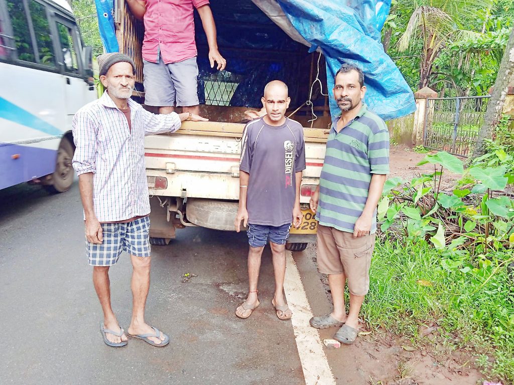 Two cattle tragically die in a collision with a vehicle at Morley