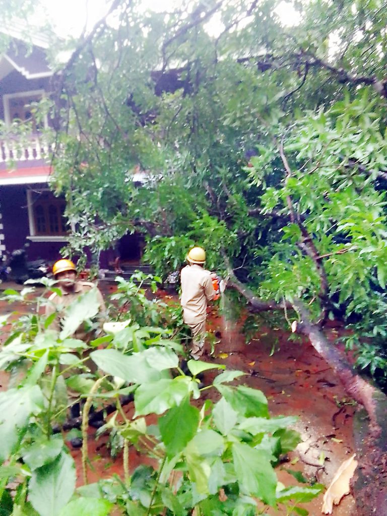 Fall due to heavy rains in Sasashti-Verna