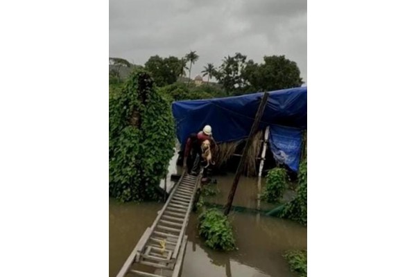 …आणि 5 पिल्लांसह कुत्रीचेही वचविले प्राण