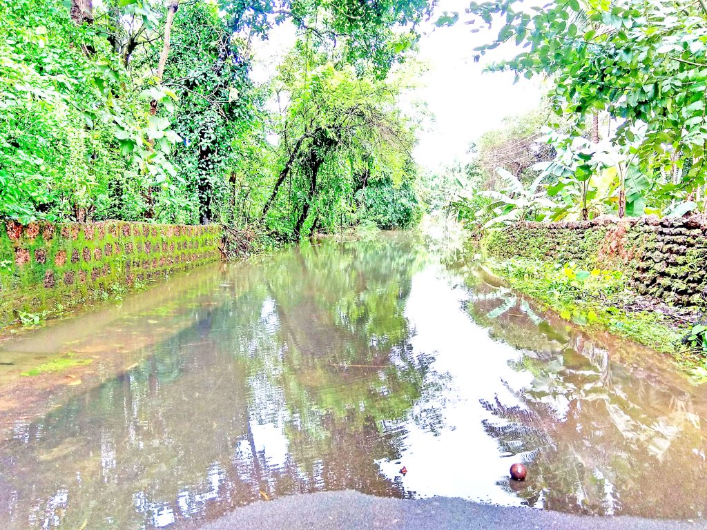 तीन दिवस होऊनही पेण्यामळला कोणतीच सरकारी मदत नाही Even after three days there is no government help to Penyamal