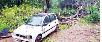 Total rainfall in Kankon taluk at 50 inches