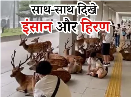 प्रचंड पावसाचा असाही चमत्कार Such a miracle of heavy rain