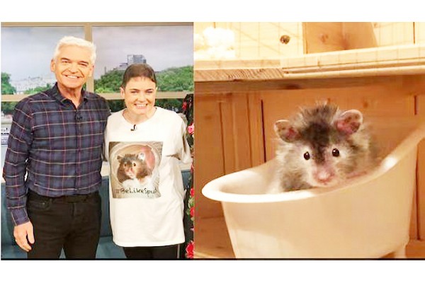 मूषकाचे असेही भाग्य