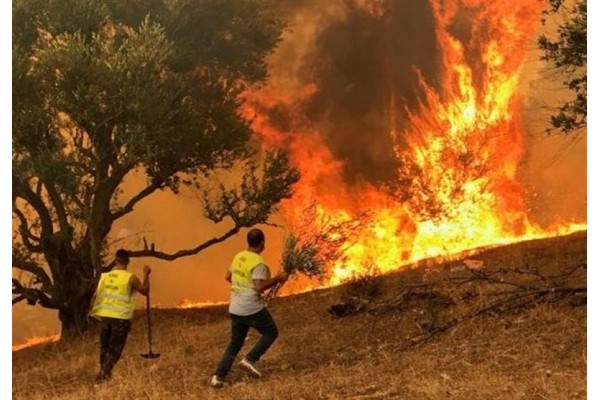 Wildfires in Algeria are raging