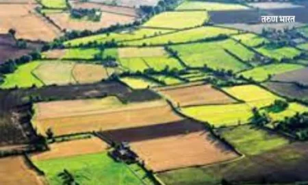 ‘तुकडेबंदी’ शिथिलता; फायदेशीर कि तोट्याची the land fragmentation law