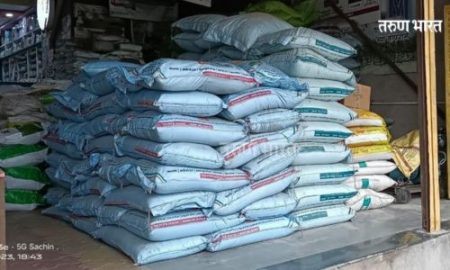 जत तालुक्यात शंभर कोटींची खत, बियाणे पडून! व्यापारी, शेतकरी चिंतेत fertilizer and seeds