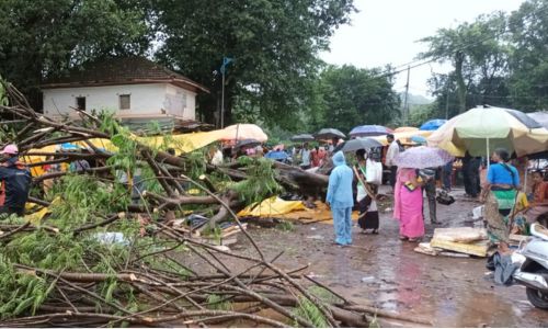 One died Gulmohra tree fell in the weekly market Four injured
