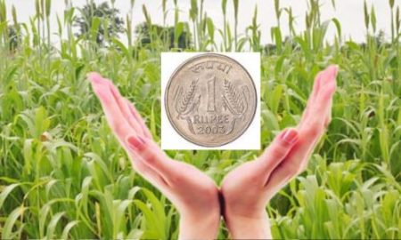 शेतकऱ्यांसाठी आता एक रूपयांत विमा; जिल्हा अधीक्षक कृषी अधिकारी दिवेकर यांची माहिती