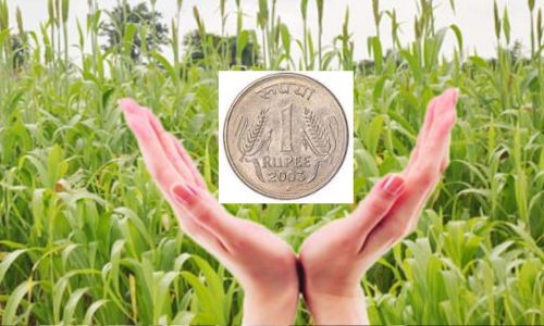 शेतकऱ्यांसाठी आता एक रूपयांत विमा; जिल्हा अधीक्षक कृषी अधिकारी दिवेकर यांची माहिती