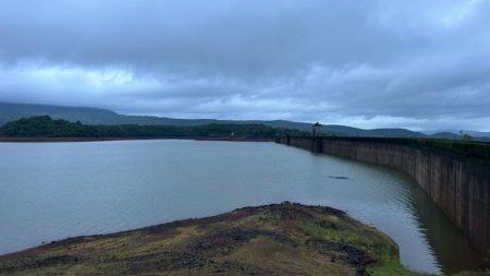 राधानगरी धरण 50 टक्के भरले, धरण पाणलोट क्षेत्रात पावसाचा जोर कायम kolhapur rain update Radhanagari dam is 50 percent full