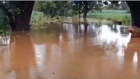 कोल्हापूर-अनुस्कूरा-राजापूर राज्यमार्गावरील वाहतूक बंद Traffic on Kolhapur-Anuskura-Rajapur state highway closed