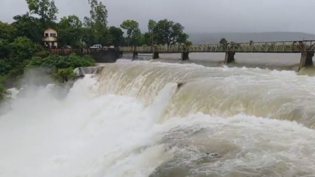 Radhanagari Dam : राधानगरी धरणाचे चार दरवाजे उघडले, 7112 क्यूसेक विसर्ग सुरु Radhanagari Dam Kolhapur Rain Update Four gates opened