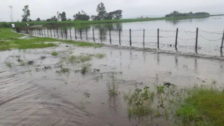 Murgud Sarpirajirao lake overflowed Murgud
