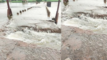 बच्चे सावर्डे बंधाऱ्या जवळचा रस्ता खचला, वाहतूक धोकादायक kolhapur news road near Bachche Sawarde dam is blocked