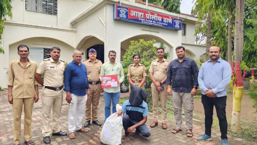 गांजाची 21 झाडे जप्त, वाळव्यात शेती करणारा ताब्यात ; आष्टा परिसरात पोलीसांचे कौतुक 21 plants farming of ganja found in walwa sangli crime news