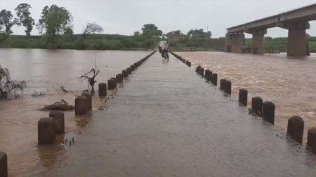Kolhapur Rain Update : राजाराम बंधाऱ्यांसह 6 बंधारे पाण्याखाली, धोकादायक वाहतूक सुरूच Kolhapur Rain Update 6 dams under water including Rajaram dams