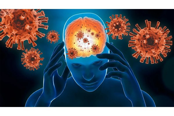 ब्रेन इन्फेक्शनमुळे केरळात एकाचा मृत्यू