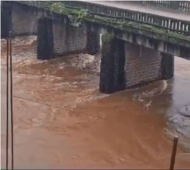वशिष्ठी नदीत एक गाई आणि म्हैस गेल्या वाहून; प्रशासनाकडून दक्षतेचा इशारा