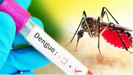 Need to prevent Dengue in Goa
