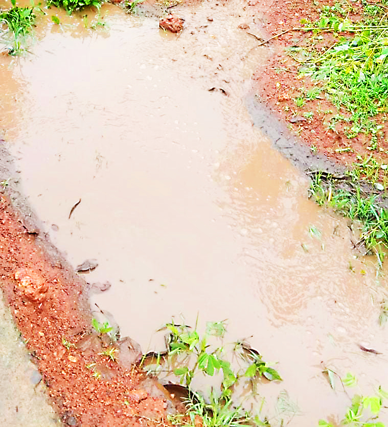 Smelly water from Turmuri waste depot in front of school