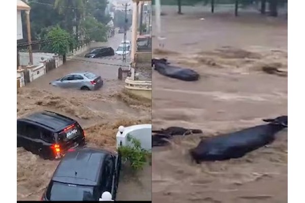 Heavy in Gujarat, Delhi, Himachal