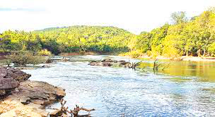 जलशक्ती मंत्रालयाकडून ‘म्हादई प्रवाह’ समिती जाहीर अध्यक्षपदी पी. एम. स्कॉट यांची नियुक्ती Ministry of Jal Shakti announced 'Mhadai Pravah' committee President P. M. Scott's appointment