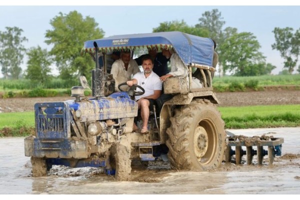 हरियाणात राहुल गांधींनी चालविला ट्रॅक्टर
