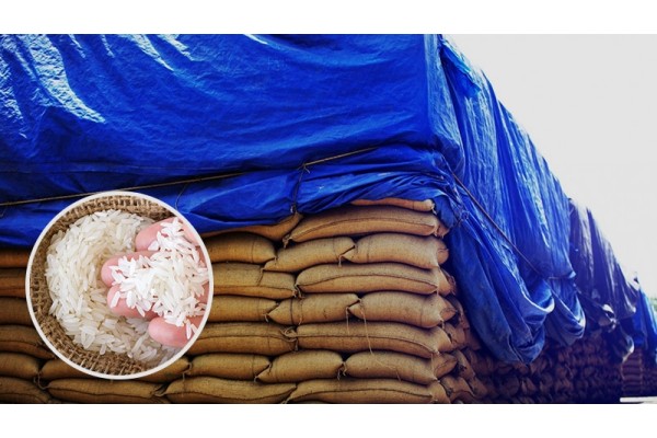 Ban on rice exports to curb price hike