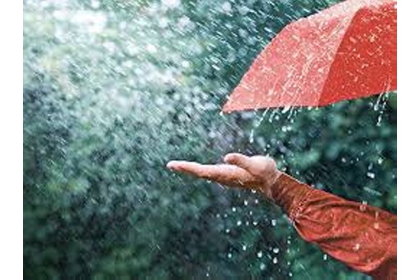 पावसाची सरा‘सरी’ It rained on Friday
