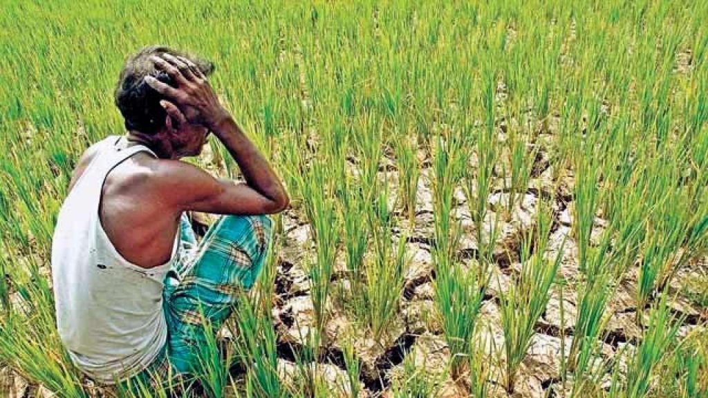 spring of rain; Farmers' worries increased
