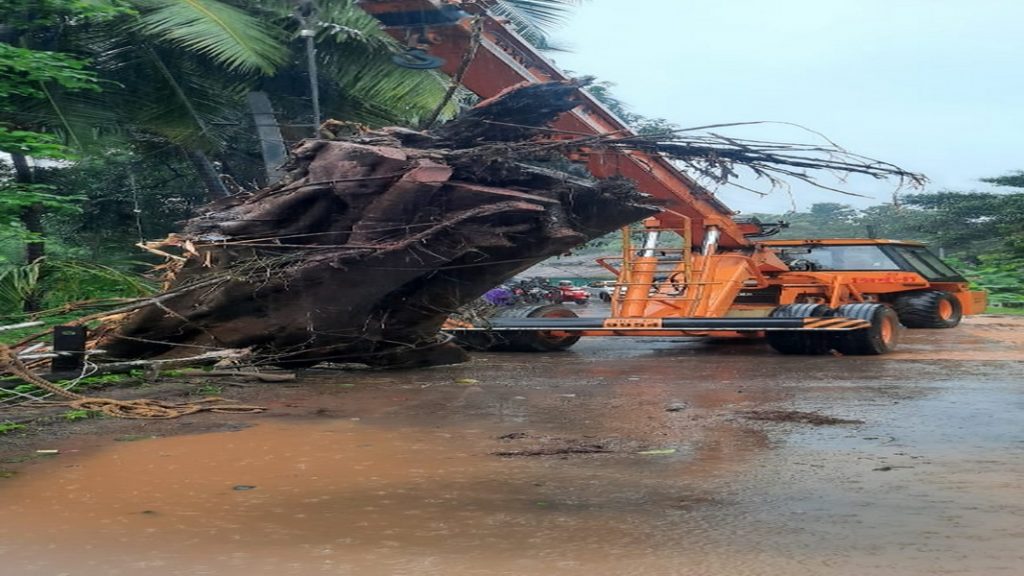 माडखोल पावणाई मंदिर पुलालगतचे नदीपात्रातील महाकाय झाड हटवले