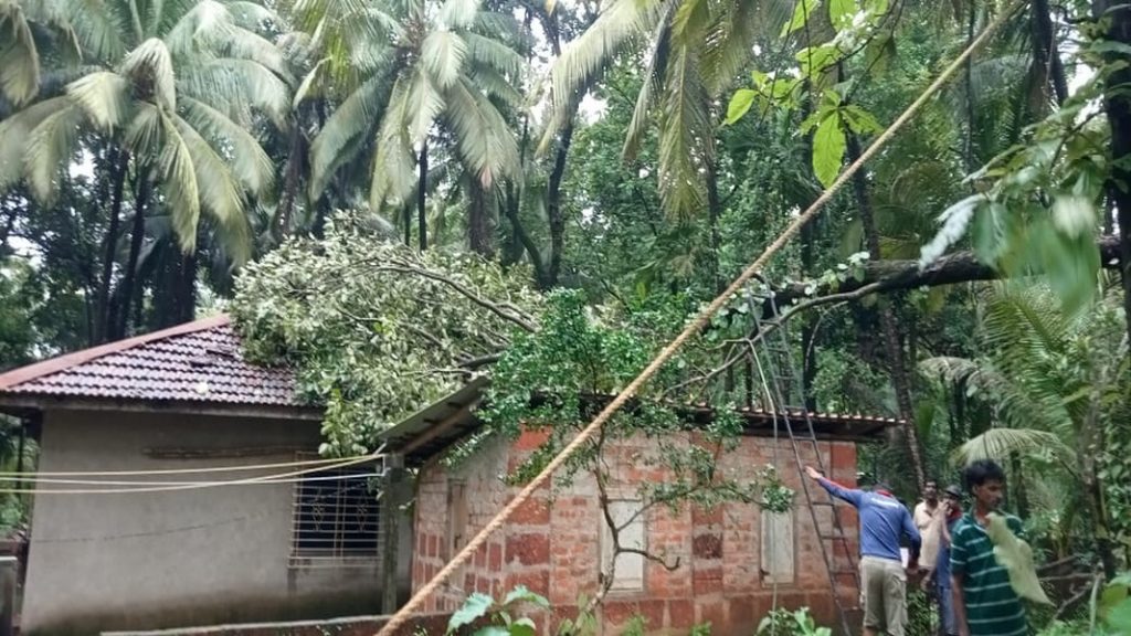 घरावर झाड कोसळून घराचे नुकसान