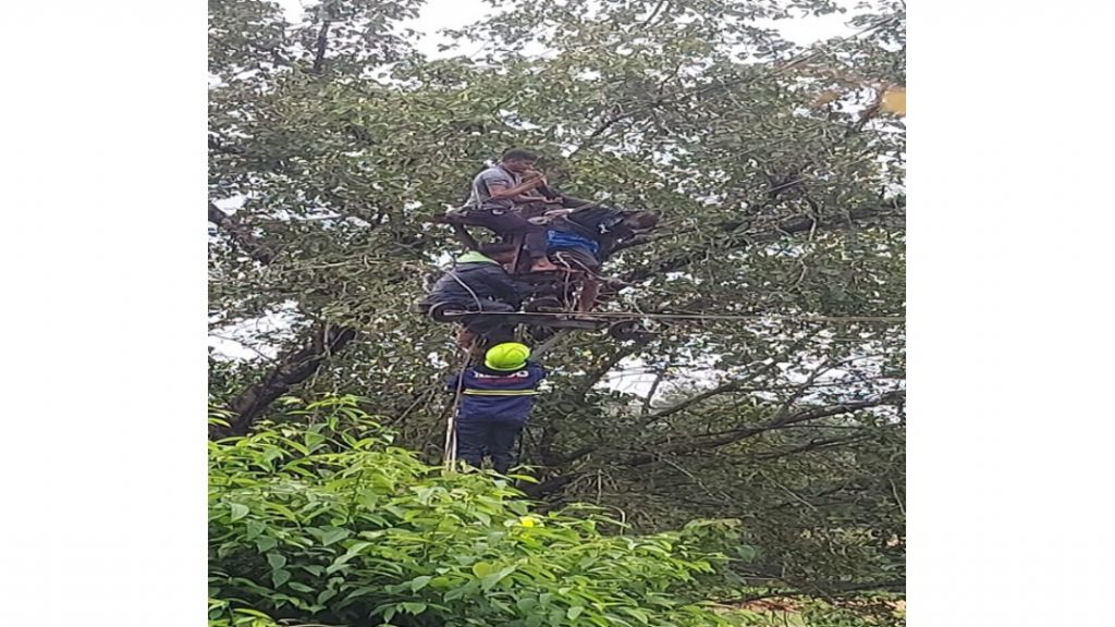 कुडाळात विद्युत शॉक लागून वायरमन गंभीर