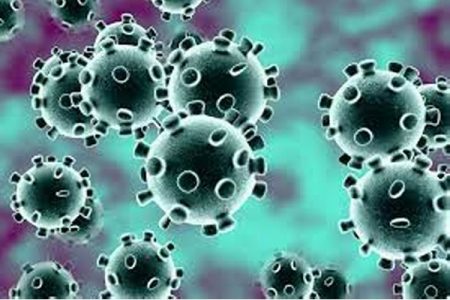 कोरोनाच्या 32 नव्या रुग्णांची नोंद 573 patients of Corona in last 24 hours in India