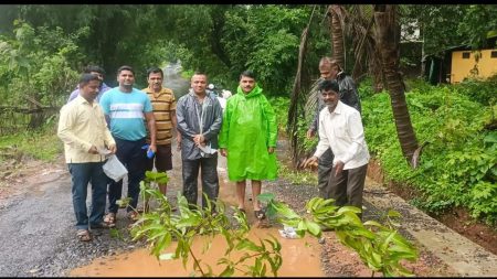 मळगाव ग्रामस्थांनी लावले खड्ड्यामध्ये झाड !