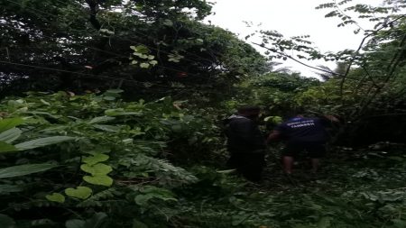 नांदोसात युवकांच्या साथीने वायरमन टीमने केला वीजपुरवठा सुरळीत