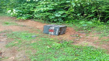 विलवडे माऊली मंदिरातील फंडपेटी अज्ञात चोरट्याने फोडली