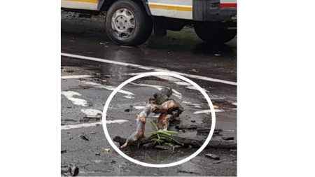 लोकहितासाठी धडपडणाऱ्या सामाजिक बांधिलकीच्या मागण्यांकडे प्रशासनाने गांभीर्याने लक्ष द्यावे :- रवी जाधव