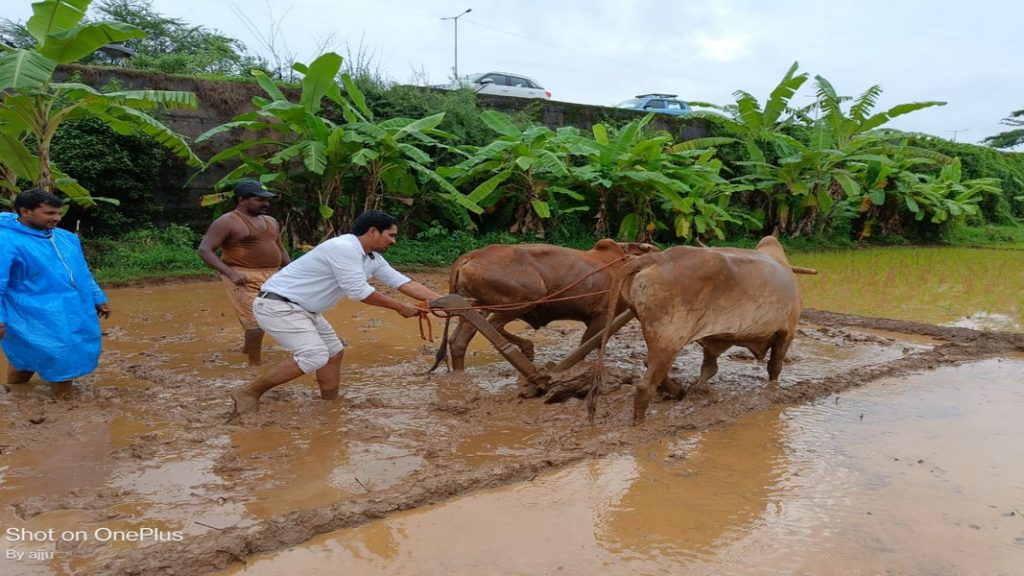 कृषी अधिकाऱ्यांसह कर्मचारी शेतक-यांच्या बांधावर !