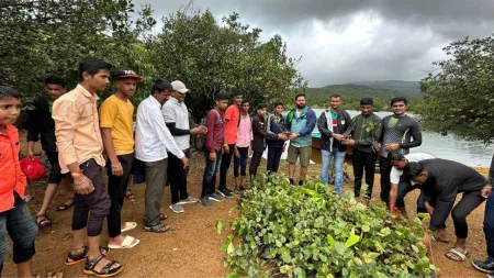 ‘व्हिजन’ट्रस्टची वृक्षारोपण चळवळ कौतुकास्पद The tree plantation movement of 'Vision' Trust is commendable