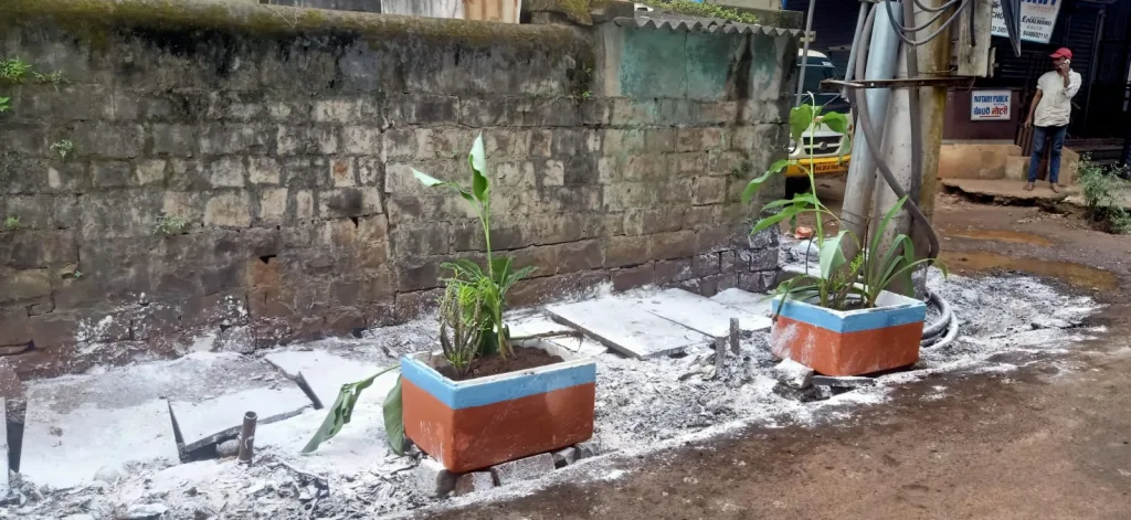 Plant extracts kept for black spot elimination