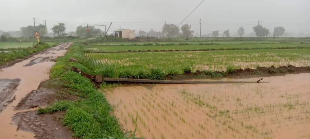 21 crore loss to HESCOM due to rain
