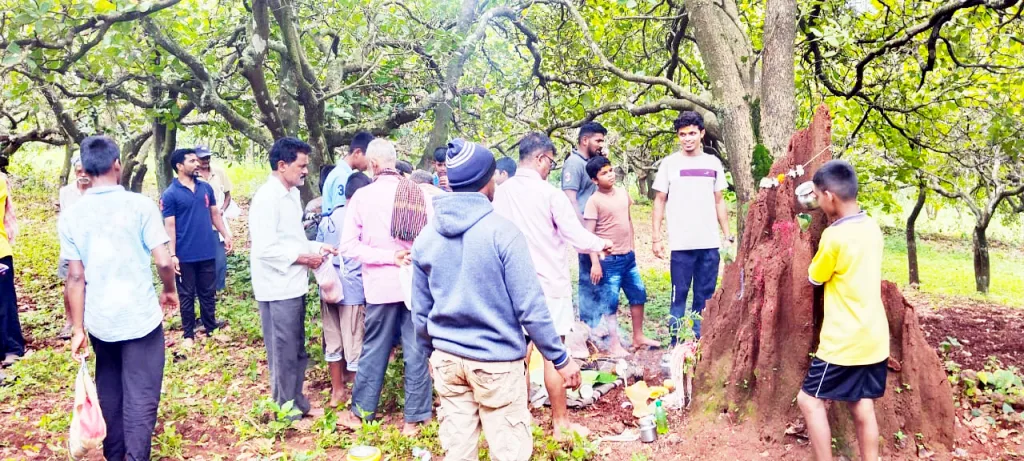 तालुक्यात नागपंचमी भक्तीभावाने Nagpanchami in Taluka with devotion