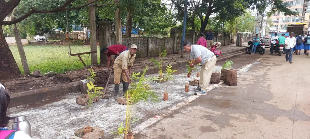 Ornamental trees planted after cleaning the garbage