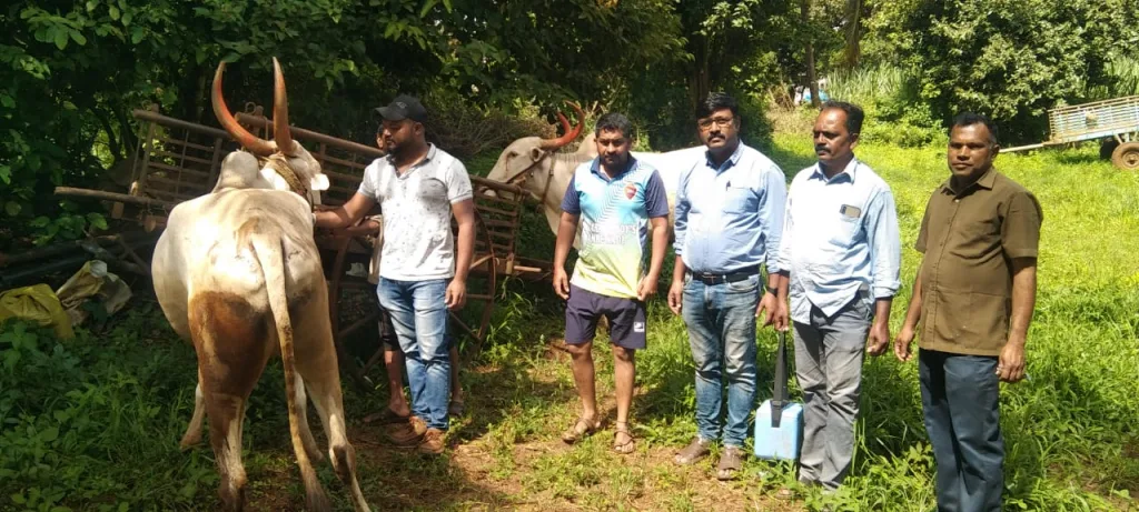 A preventive campaign to stop Lumpy