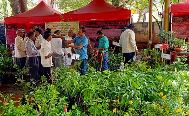 ‘बागायत’च्या महोत्सवाने वेधले लक्ष The festival of 'Bagayat' attracted attention